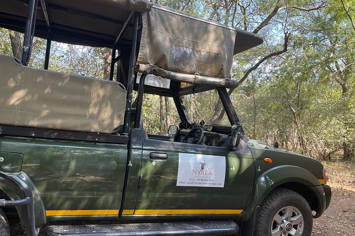 Half Day Kruger Safari Private Tour  - Photo 1 of 15